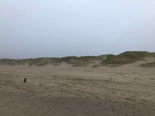 Ferienhaus Julianadorp Umgebung 28