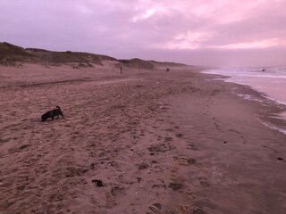 Casa per le vacanze Julianadorp Ambiente 33