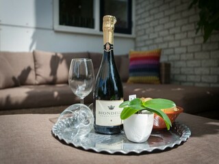 Holiday house Julianadorp  32