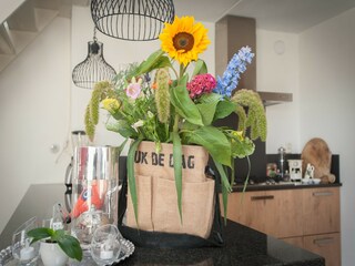 Ferienhaus Julianadorp  37