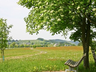 Blick auf Langewiese