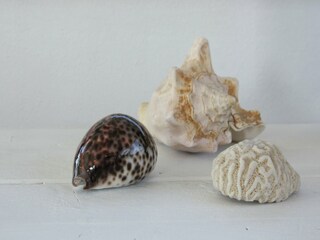 Maison de vacances Den Helder  23