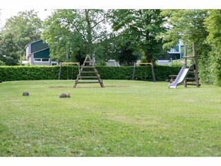 Vakantiehuis Kortgene Omgeving 18