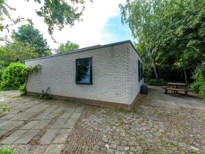 Holiday house Comfortable, detached bungalow (65 m2. - Kamperland - image1