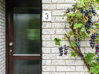 Maison de vacances Kamperland  39