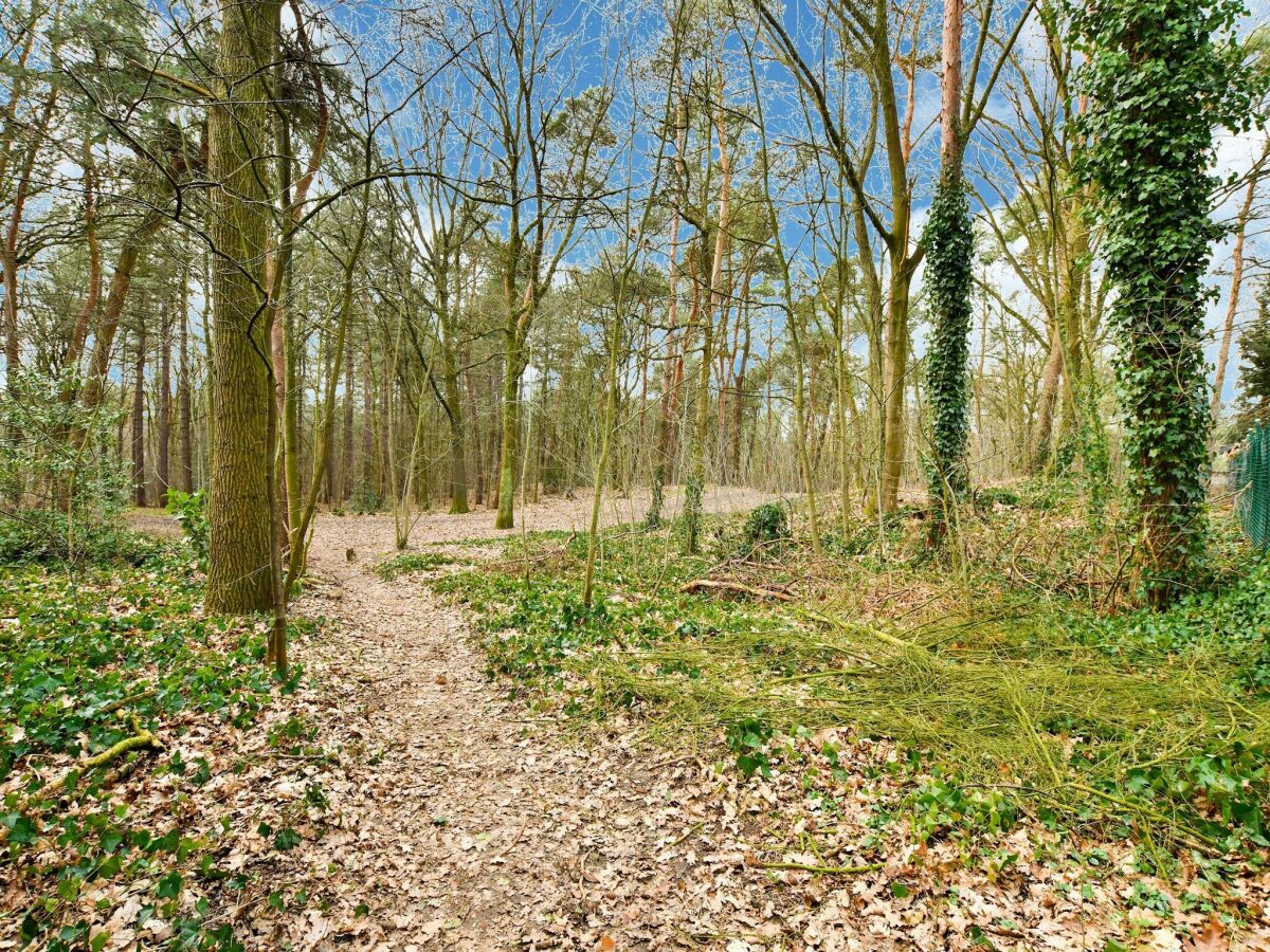 Ferienhaus Helenaveen Umgebung 28