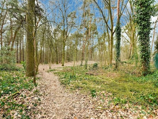 Vakantiehuis Helenaveen Omgeving 28