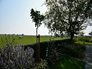 Villa Netterden Außenaufnahme 12