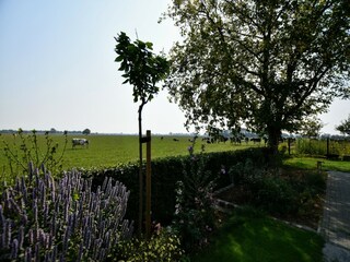 Villa Netterden Outdoor Recording 8