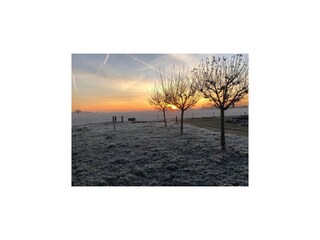 Villa Netterden Buitenaudio-opname 19