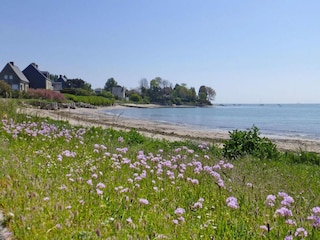Ferienhaus Sainte-Marie-du-Mont Umgebung 30