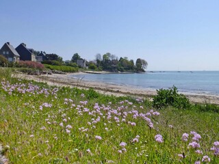 Maison de vacances Sainte-Marie-du-Mont Environnement 29