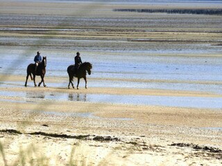 Holiday house Sainte-Marie-du-Mont Environment 30