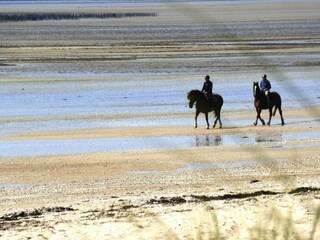 Holiday house Sainte-Marie-du-Mont Environment 31