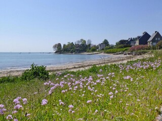 Holiday house Sainte-Marie-du-Mont Environment 32