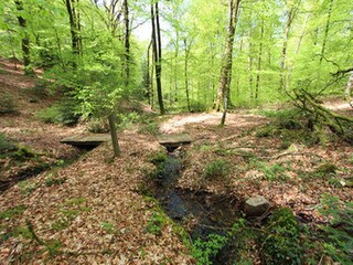 Vakantiehuis Weinbourg Omgeving 14