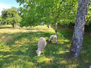 Ferienhaus Petersbach Außenaufnahme 10