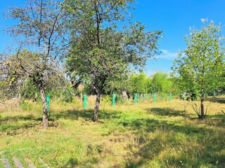 Casa per le vacanze Petersbach Registrazione all'aperto 11