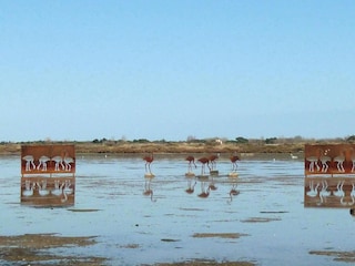 Maison de vacances Fouzilhon Environnement 23