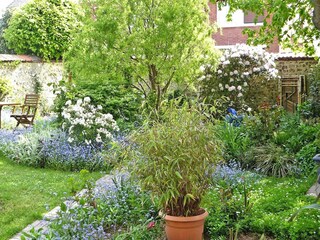 Appartamento Yport Ambiente 14