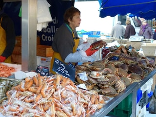 Holiday house Les Loges Environment 11