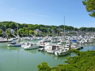 Ferienhaus Colleville (Seine-Maritime) Umgebung 20