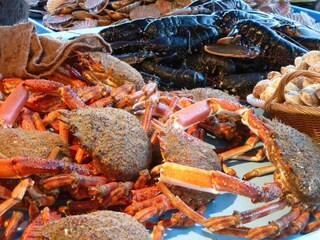 Ferienhaus Colleville (Seine-Maritime) Umgebung 22