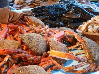 Maison de vacances Colleville (Seine-Maritime) Environnement 20