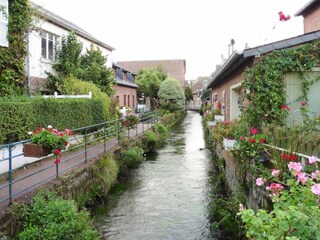 Maison de vacances Quiberville-sur-Mer Environnement 20
