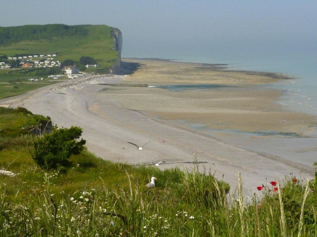 Ferienhaus Quiberville-sur-Mer Umgebung 20