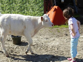 Schloss Portbail Umgebung 19