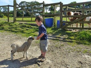 Schloss Portbail Umgebung 20