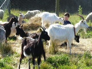 Schloss Portbail Umgebung 21