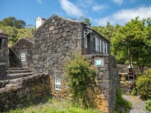 Ferienhaus, Praínha de Baixo, Pico, Azoren-ehemals TUI Ferienhaus - Prainha - image1