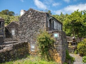 Ferienhaus, Praínha de Baixo, Pico, Azoren - Prainha - image1