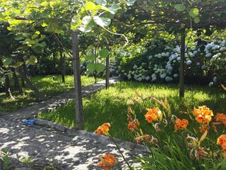 Maison de vacances Vale de Cambra Enregistrement extérieur 3