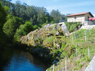 Ferienhaus Vale de Cambra Umgebung 27