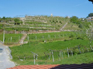 Ferienhaus Vale de Cambra Außenaufnahme 7