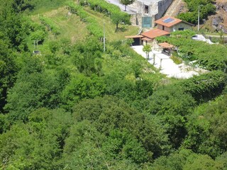 Ferienhaus Vale de Cambra Außenaufnahme 14