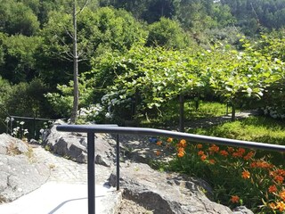 Ferienhaus Vale de Cambra  30