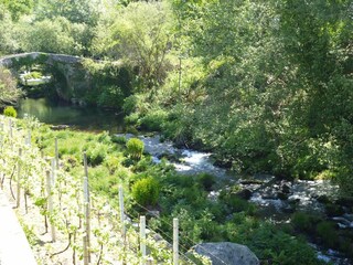 Maison de vacances Vale de Cambra Enregistrement extérieur 18