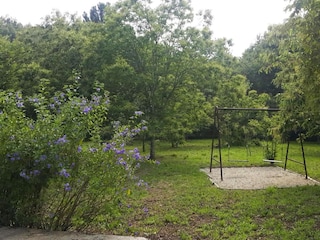 Ferienhaus Vale de Cambra Außenaufnahme 13