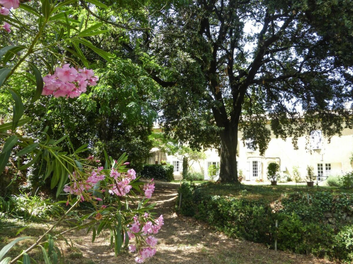 Ferienhaus Carsan Außenaufnahme 7