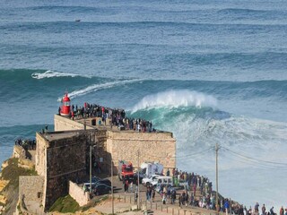 Maison de vacances Nazaré Environnement 14