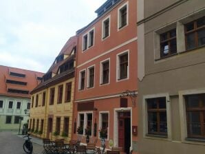 Apartment Flat in Pirna in a charming neighbourhood. - Dresden Area - image1