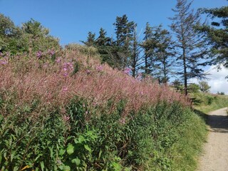 Ferienhaus Nørlev Strand  37