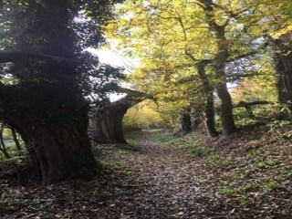 Chalet Barvaux-sur-Ourthe Entorno 29