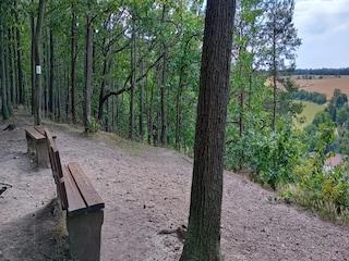 Apartment Freital Umgebung 22