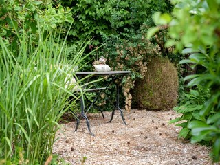 Casa de vacaciones Kamperland Grabación al aire libre 3