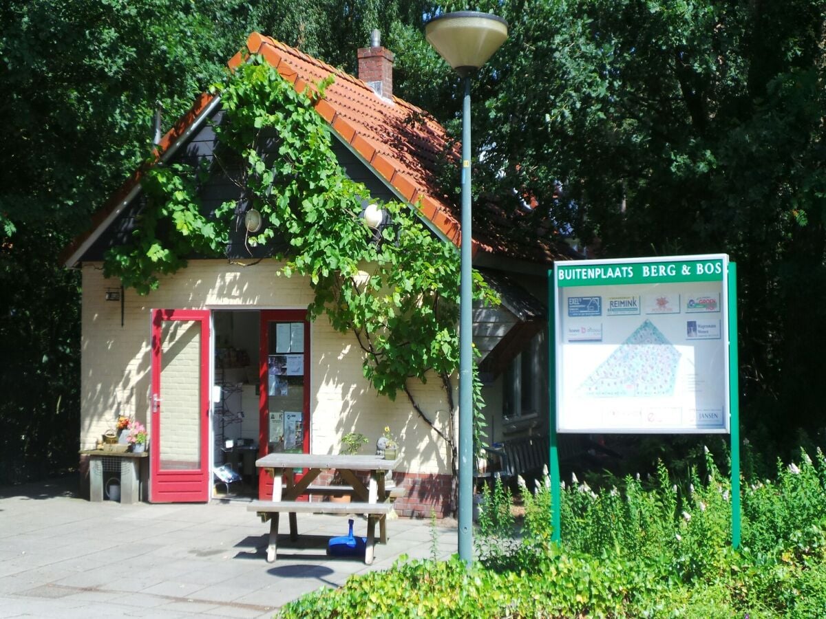 Ferienhaus Lemele Umgebung 32